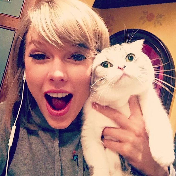 taylorswift: Meredith is allergic to joy.