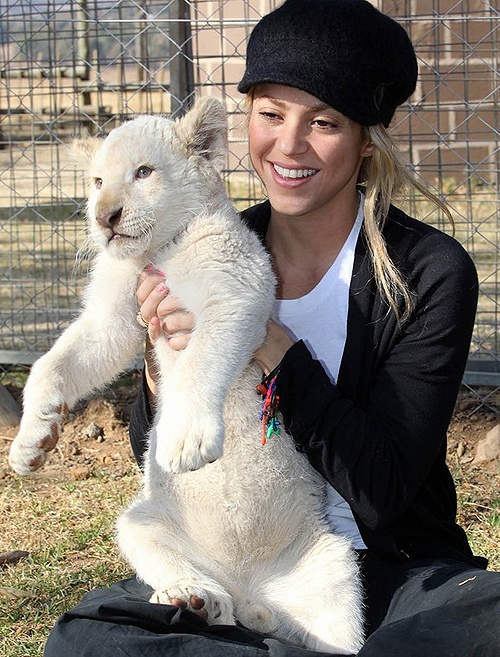Shakira with her kitty cat.  This is a very nice picture.  I would like to have ...