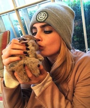 Yes, Cara Delevingne's Pet Bunny Cecil Is On Instagram